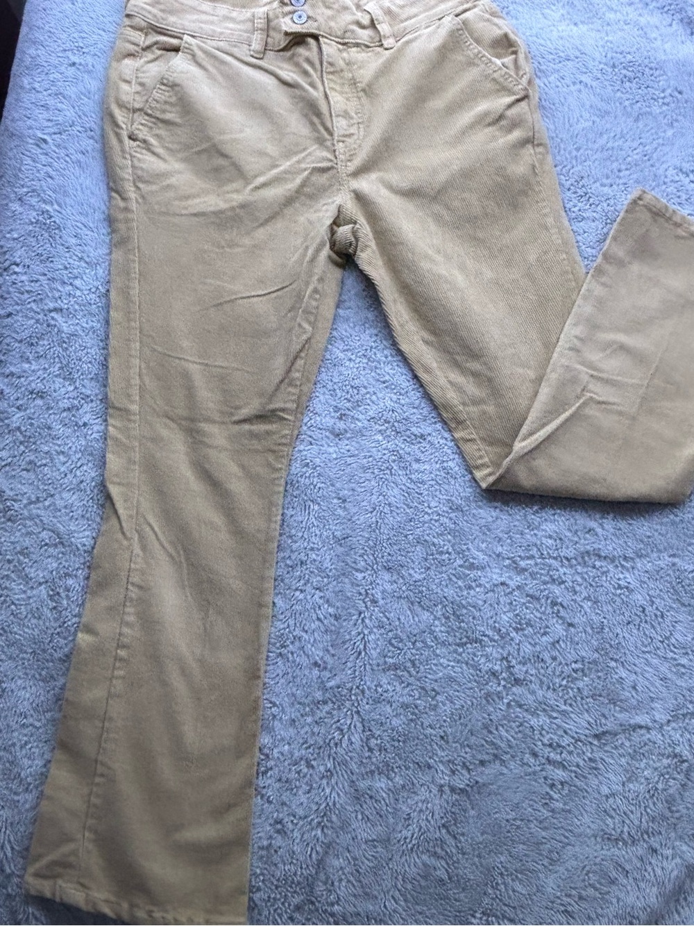 American Eagle Outfitters Tan Corduroy Straight-Leg Pants